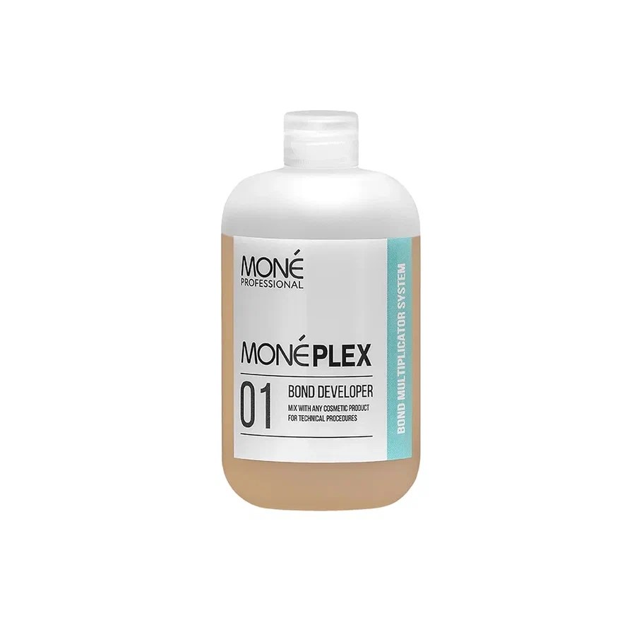 MONEPLEX 01 BOND DEVELOPER MP91101